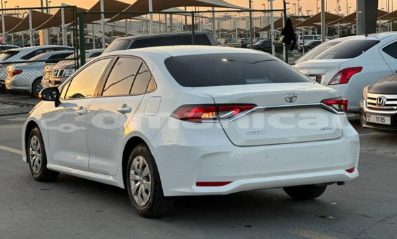 Buy Used Toyota Corolla White Car in al–Mudaybi in ash-Sharqiyah Buy Used Toyota Corolla White Car in al–Mudaybi in ash-Sharqiyah