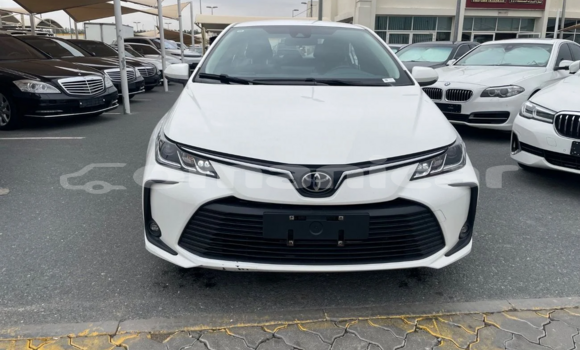 Buy Used Toyota Corolla White Car in al–Mudaybi in ash-Sharqiyah Buy Used Toyota Corolla White Car in al–Mudaybi in ash-Sharqiyah