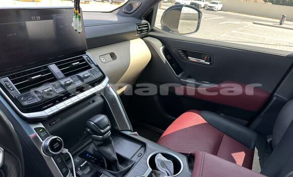 Buy New Toyota Land Cruiser White Car in Muscat in Masqat Buy New Toyota Land Cruiser White Car in Muscat in Masqat
