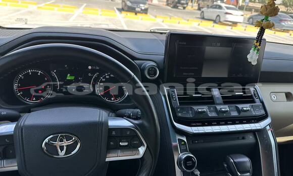 Buy New Toyota Land Cruiser White Car in Muscat in Masqat Buy New Toyota Land Cruiser White Car in Muscat in Masqat