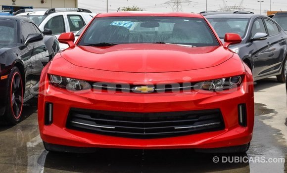 Buy Import Chevrolet Camaro Red Car in Import - Dubai in Dhufar Buy Import Chevrolet Camaro Red Car in Import - Dubai in Dhufar