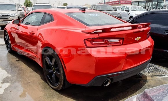 Buy Import Chevrolet Camaro Red Car in Import - Dubai in Dhufar Buy Import Chevrolet Camaro Red Car in Import - Dubai in Dhufar