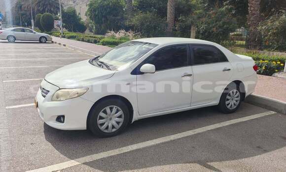 Buy Used Toyota Corolla White Car in as–Sib in Masqat