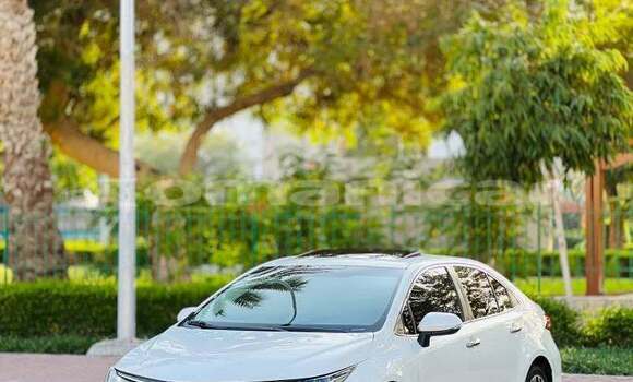 Buy Used Toyota Altis Silver Car in as–Sib in Masqat