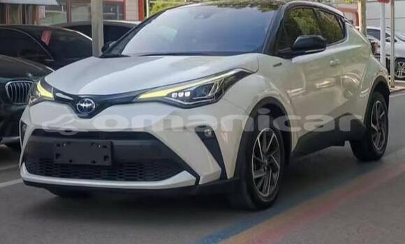 Buy Used Toyota C-HR White Car in Muscat in Masqat