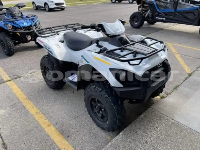 Big with watermark kawasaki brute force masqat masqat 8318