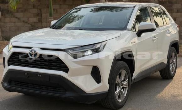 Buy Used Toyota RAV4 White Car in Muscat in Masqat Buy Used Toyota RAV4 White Car in Muscat in Masqat