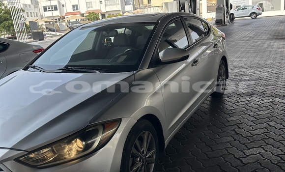 Buy Import Hyundai Elantra Silver Car in Masqat in Masqat
