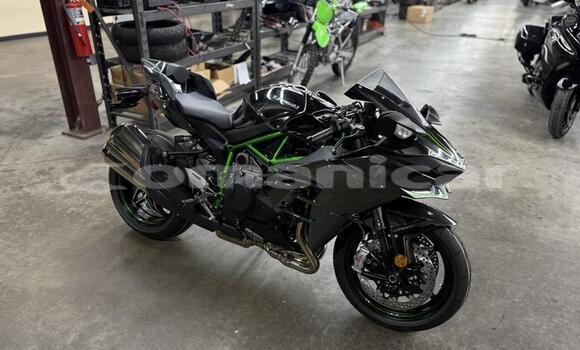 Buy Used Kawasaki Ninja Beige Bike in Muscat in Masqat