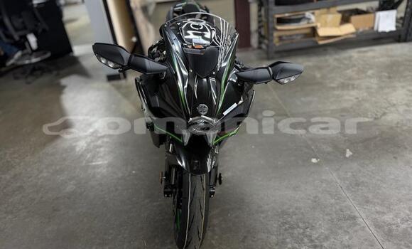 Buy Used Kawasaki Ninja Beige Bike in Muscat in Masqat Buy Used Kawasaki Ninja Beige Bike in Muscat in Masqat