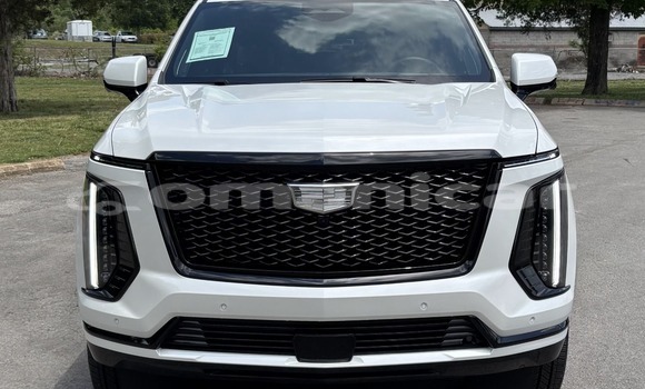Buy Used Cadillac Escalade White Car in al–Masna'ah in al-Batinah
