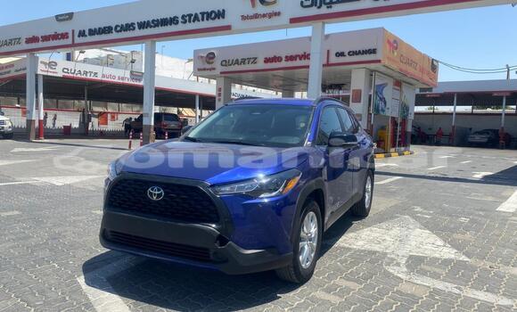 Buy Used Toyota Corolla Cross Blue Car in Azaiba in Masqat