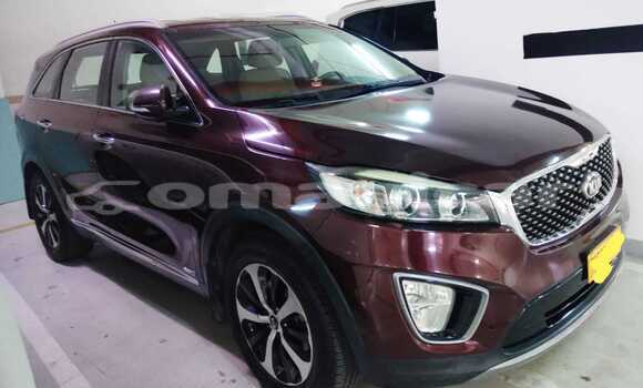 Buy Used Kia Sorento Other Car in Muscat in Masqat Buy Used Kia Sorento Other Car in Muscat in Masqat