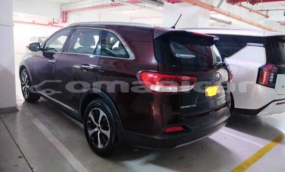 Buy Used Kia Sorento Other Car in Muscat in Masqat Buy Used Kia Sorento Other Car in Muscat in Masqat