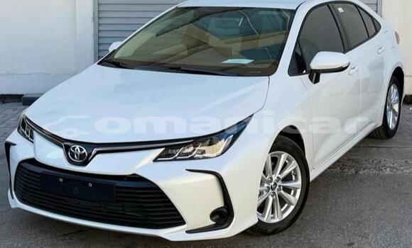 Buy Used Toyota Corolla White Car in Muscat in Masqat
