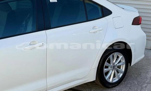 Buy Used Toyota Corolla White Car in Muscat in Masqat Buy Used Toyota Corolla White Car in Muscat in Masqat