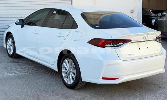 Buy Used Toyota Corolla White Car in Muscat in Masqat Buy Used Toyota Corolla White Car in Muscat in Masqat