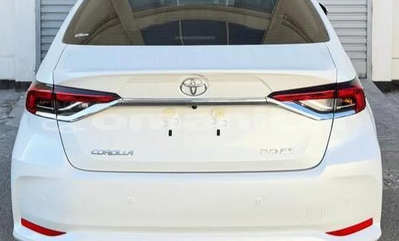 Buy Used Toyota Corolla White Car in Muscat in Masqat Buy Used Toyota Corolla White Car in Muscat in Masqat