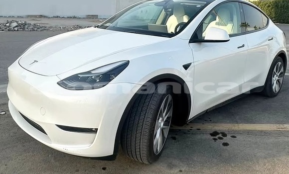 Buy Used Tesla Model X White Car in Muscat in Masqat Buy Used Tesla Model X White Car in Muscat in Masqat