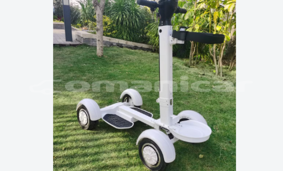 EcoRider G2 Skateboard