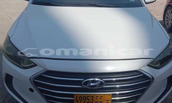 Buy Used Hyundai Elantra White Car in Azaiba in Masqat