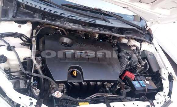 Buy Used Toyota Corolla White Car in as–Suwayq in al-Batinah Buy Used Toyota Corolla White Car in as–Suwayq in al-Batinah