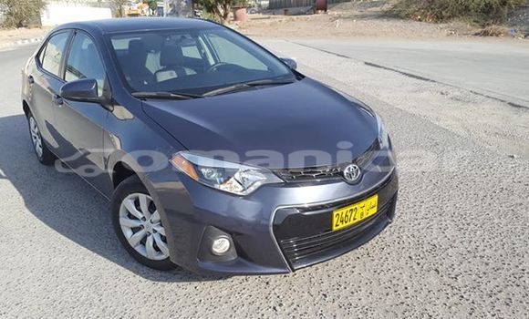 Buy Used Toyota Corolla Other Car in Masqat in Masqat Buy Used Toyota Corolla Other Car in Masqat in Masqat