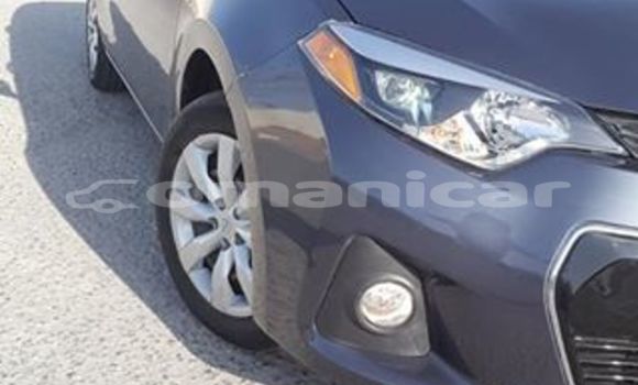 Buy Used Toyota Corolla Other Car in Masqat in Masqat Buy Used Toyota Corolla Other Car in Masqat in Masqat