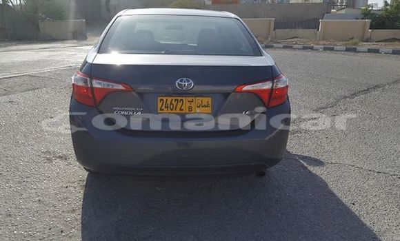 Buy Used Toyota Corolla Other Car in Masqat in Masqat Buy Used Toyota Corolla Other Car in Masqat in Masqat