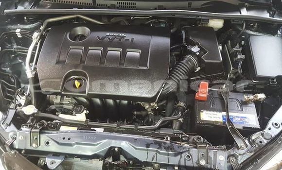 Buy Used Toyota Corolla Other Car in Masqat in Masqat Buy Used Toyota Corolla Other Car in Masqat in Masqat