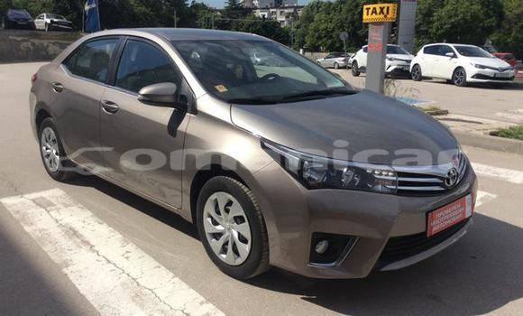 Buy Used Toyota Corolla Other Car in Muscat in Masqat Buy Used Toyota Corolla Other Car in Muscat in Masqat
