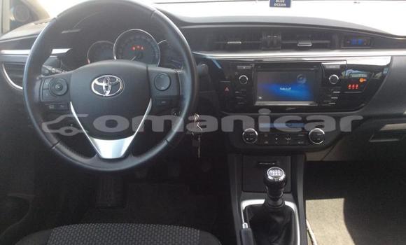 Buy Used Toyota Corolla Other Car in Muscat in Masqat Buy Used Toyota Corolla Other Car in Muscat in Masqat