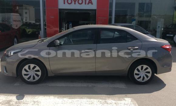 Buy Used Toyota Corolla Other Car in Muscat in Masqat Buy Used Toyota Corolla Other Car in Muscat in Masqat