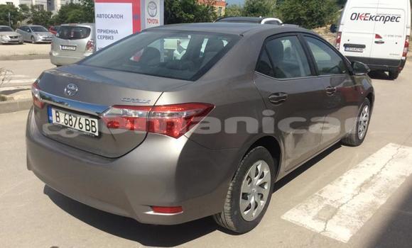 Buy Used Toyota Corolla Other Car in Muscat in Masqat Buy Used Toyota Corolla Other Car in Muscat in Masqat