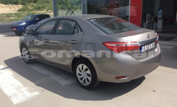 Buy Used Toyota Corolla Other Car in Muscat in Masqat Buy Used Toyota Corolla Other Car in Muscat in Masqat