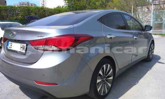 Buy Used Hyundai Elantra Other Car in Muscat in Masqat Buy Used Hyundai Elantra Other Car in Muscat in Masqat