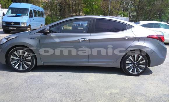 Buy Used Hyundai Elantra Other Car in Muscat in Masqat Buy Used Hyundai Elantra Other Car in Muscat in Masqat