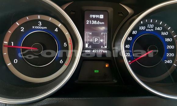 Buy Used Hyundai Elantra Other Car in Muscat in Masqat Buy Used Hyundai Elantra Other Car in Muscat in Masqat