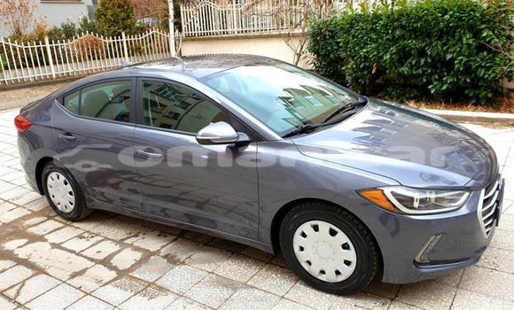 Buy Used Hyundai Elantra Other Car in Muscat in Masqat Buy Used Hyundai Elantra Other Car in Muscat in Masqat