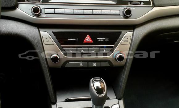 Buy Used Hyundai Elantra Other Car in Muscat in Masqat Buy Used Hyundai Elantra Other Car in Muscat in Masqat