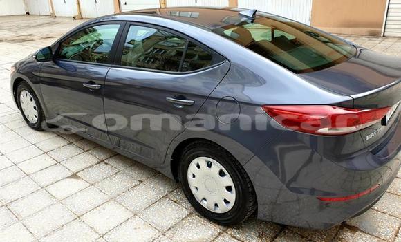 Buy Used Hyundai Elantra Other Car in Muscat in Masqat Buy Used Hyundai Elantra Other Car in Muscat in Masqat