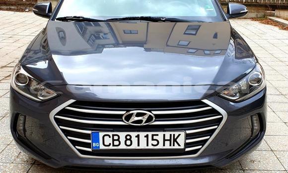 Buy Used Hyundai Elantra Other Car in Muscat in Masqat Buy Used Hyundai Elantra Other Car in Muscat in Masqat