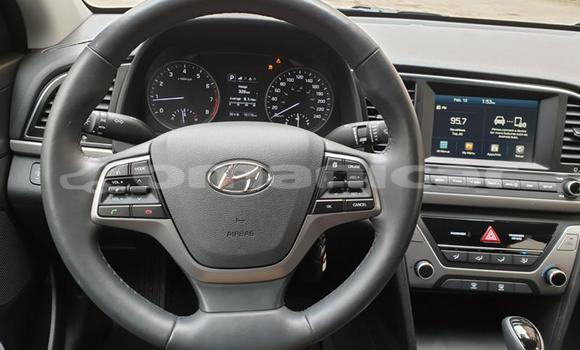 Buy Used Hyundai Elantra Other Car in Muscat in Masqat Buy Used Hyundai Elantra Other Car in Muscat in Masqat