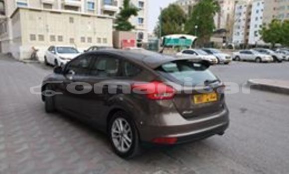 Buy Used Ford Focus Brown Car in Masqat in Masqat Buy Used Ford Focus Brown Car in Masqat in Masqat