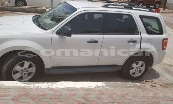 Buy Used Ford Escape White Car in Muscat in Masqat