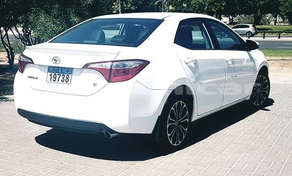 Buy Used Toyota Corolla White Car in Muscat in Masqat Buy Used Toyota Corolla White Car in Muscat in Masqat