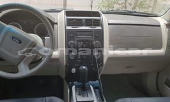 Buy Used Ford Escape White Car in Muscat in Masqat Buy Used Ford Escape White Car in Muscat in Masqat