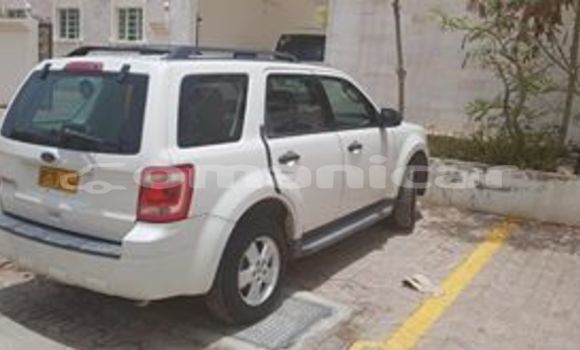 Buy Used Ford Escape White Car in Muscat in Masqat Buy Used Ford Escape White Car in Muscat in Masqat