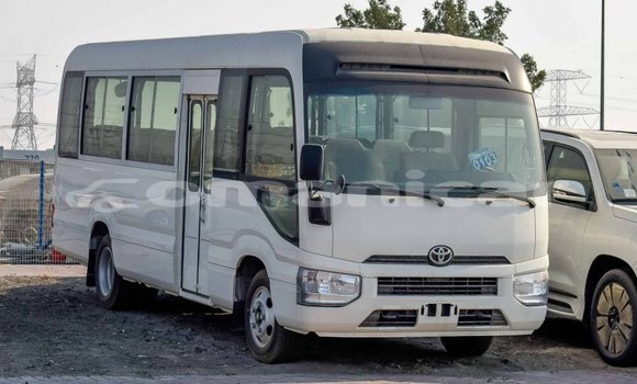 Buy Import Toyota Coaster White Car in Import - Dubai in Dhufar Buy Import Toyota Coaster White Car in Import - Dubai in Dhufar