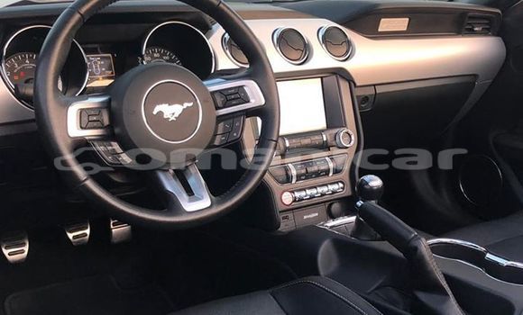 Buy Used Ford Mustang Red Car in Muscat in Masqat Buy Used Ford Mustang Red Car in Muscat in Masqat